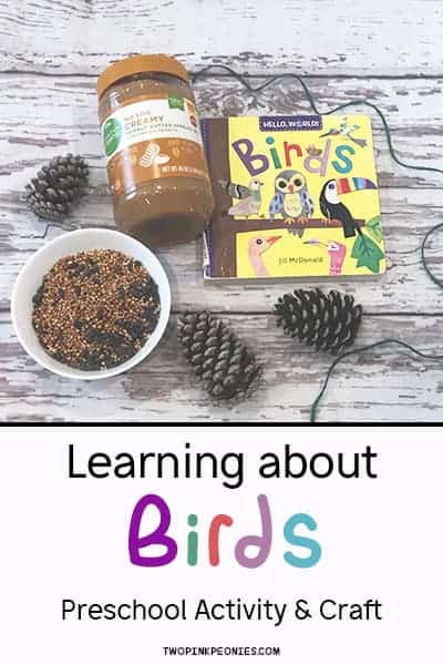 text that says learning about birds preschool activity and craft above the text is an image of supplies needed to make a bird feeder (string, pine cones, peanut butter) and a children's book about birds 