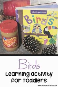 homeschool preschool bird activity