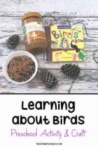homeschool preschool bird activity